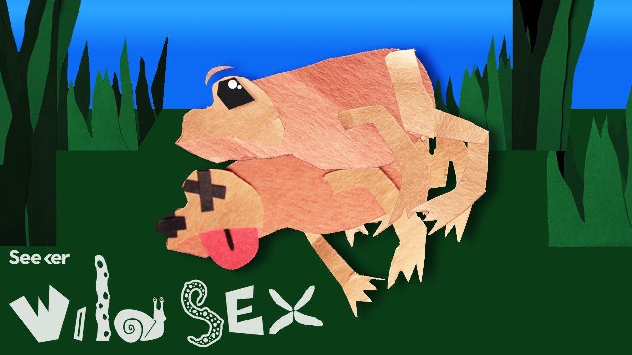 Not Even Death Can Stop These Frogs From Procreating. Wait...What?