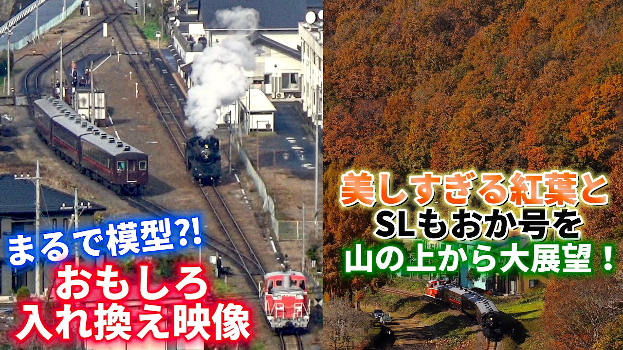 真岡鐵道 SLもおか 珍入換映像＆美しすぎる紅葉を大展望 ! 蒸気機関車 ディーゼル機関車