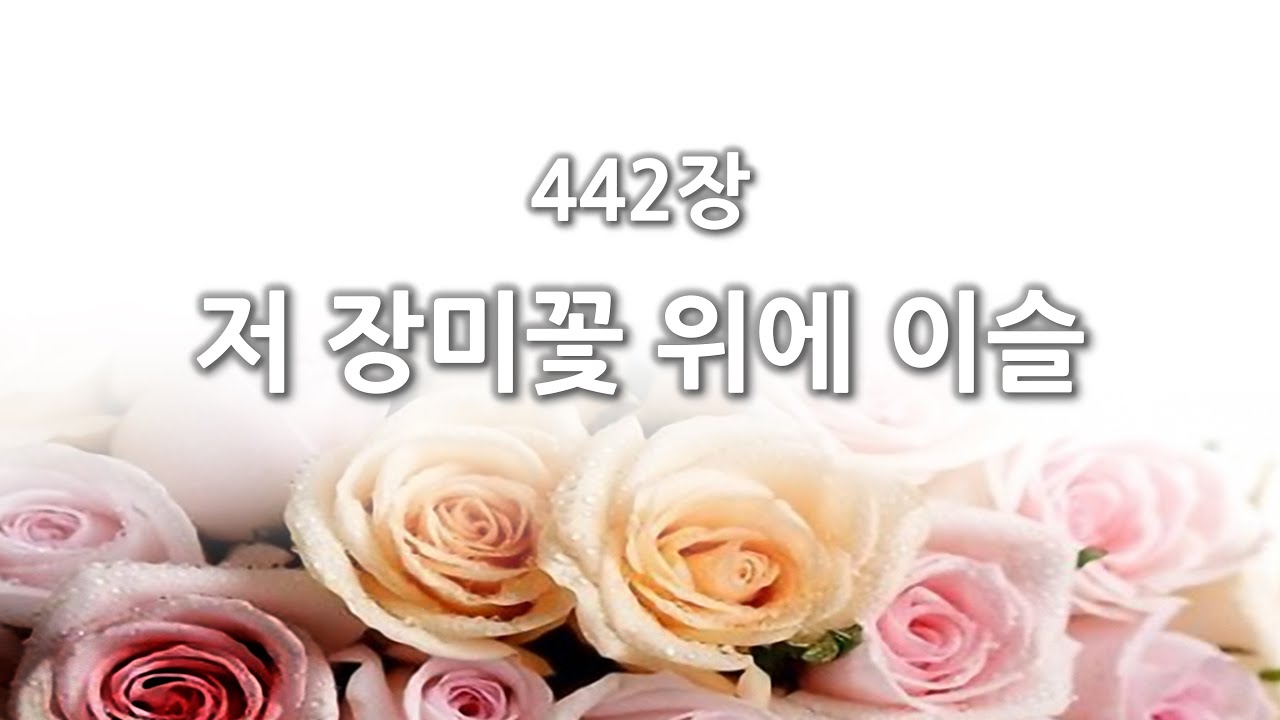 [간주없는 악보형 새찬송가] 442장 저 장미꽃 위에 이슬