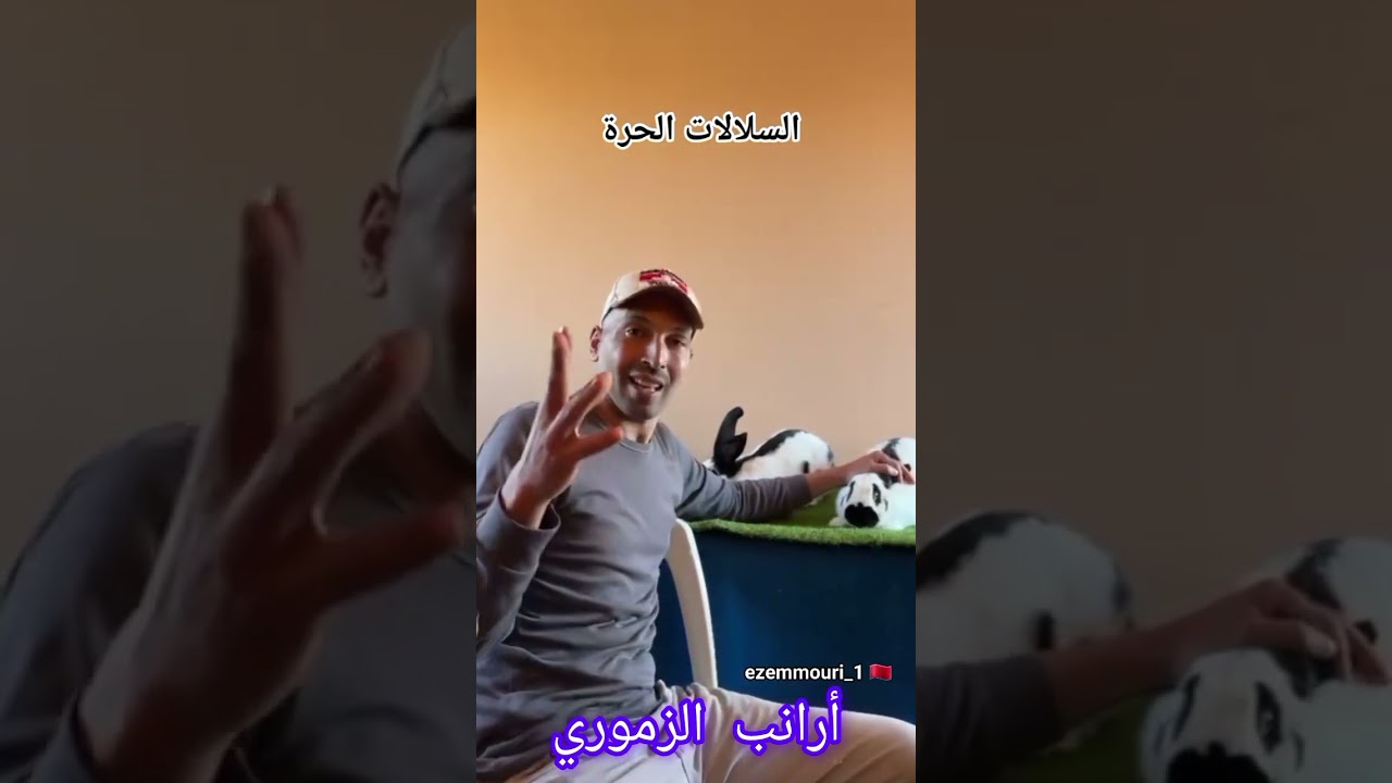 شاهد الفيديو لن تندم ..تزاوج السلالات العملاقة بشكل صحيح مع الزموري..0670694264
