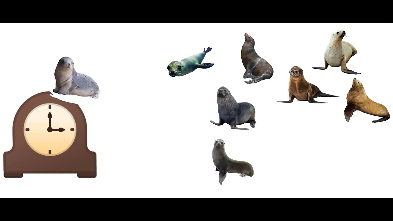 Super Planet Dolan Hickory Dickory Dock Eared Seal Edition