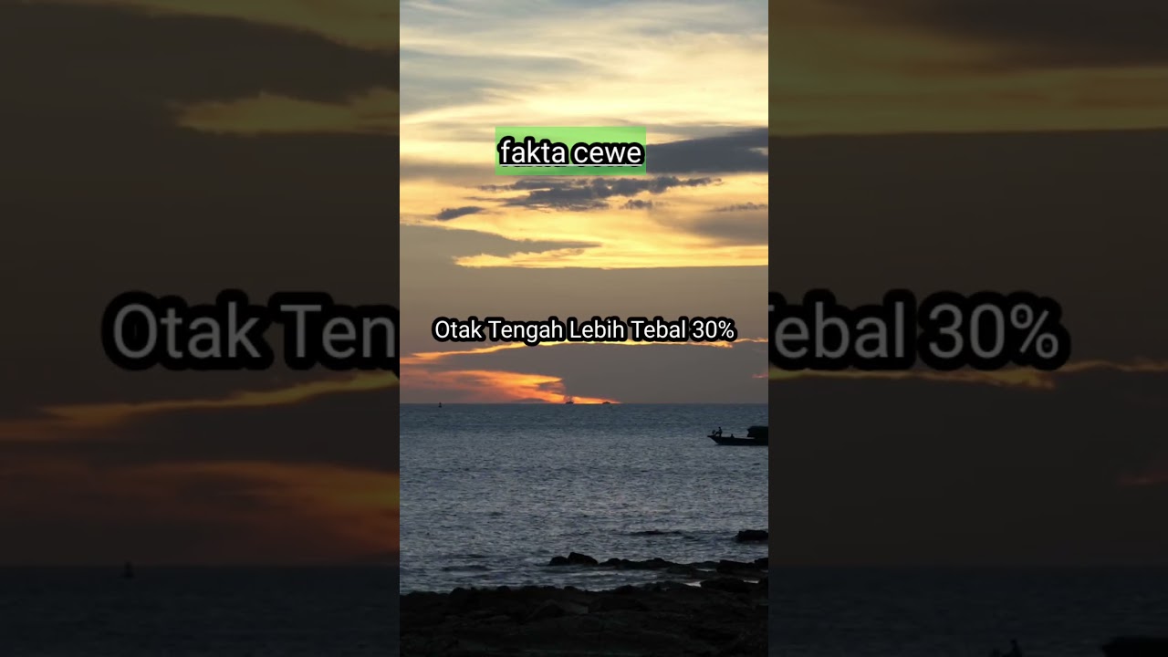 fakta cewe