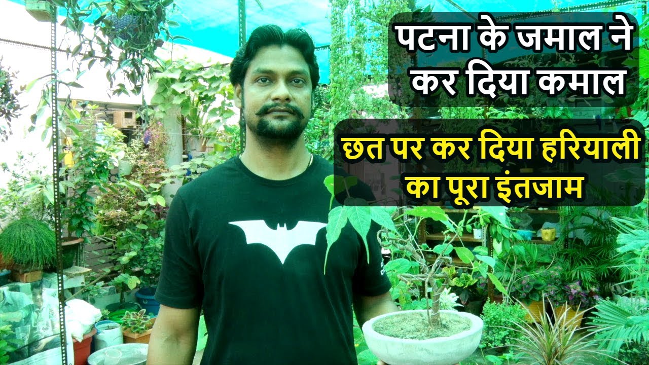 Patna Phulwari Sharif के Rahat Jamal का कमाल, मन मोह लेने वाला बनाया Terrace Garden । Green Side