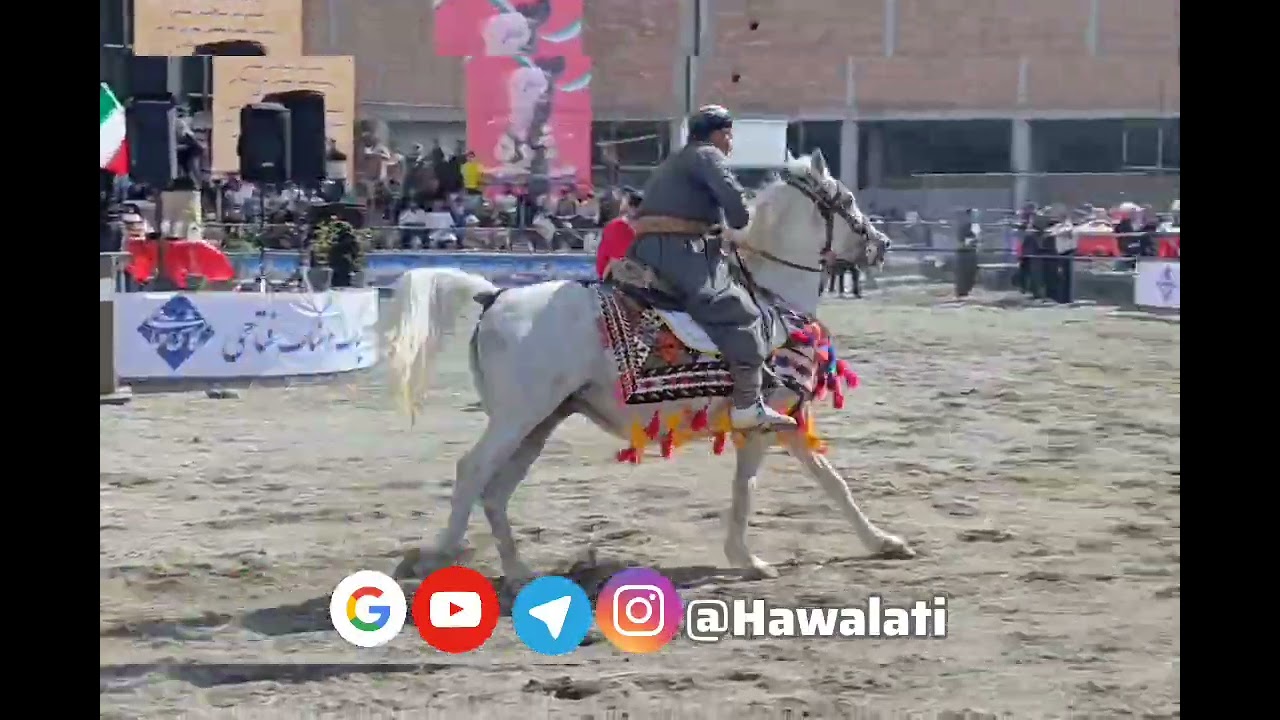 سومین همایش بزرگ بین‌المللی اسب کورد در سقز برگزار شد