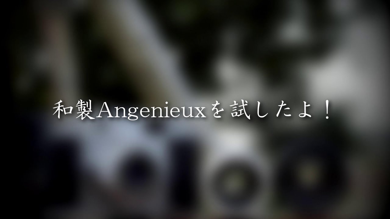 和製Angenieuxを試したよ !