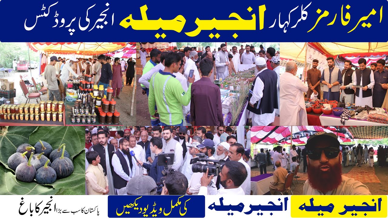 Anjeer Mela Kallar Kahar 2023 complete video | Fig Festival Kallar Kahar 2023 | Ameer Farms |