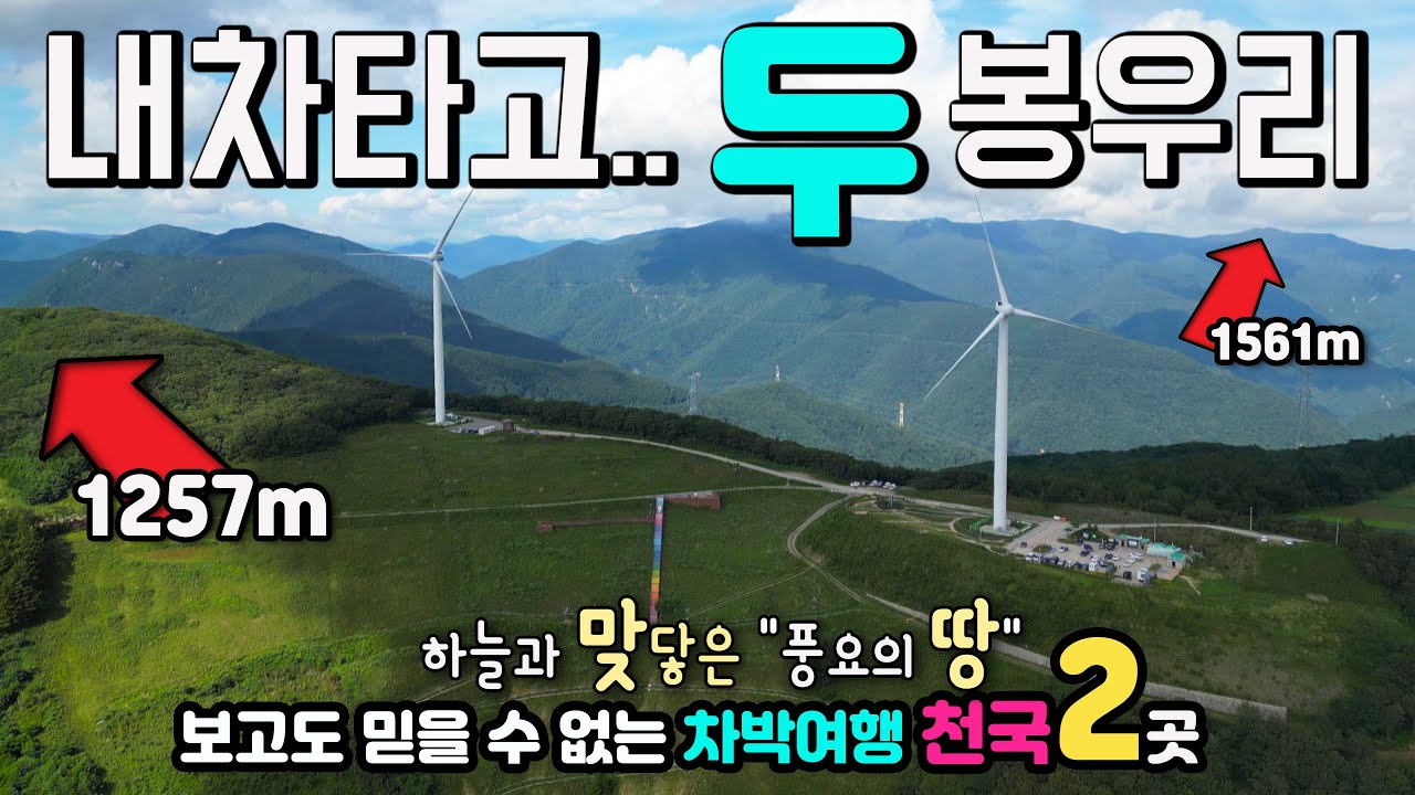 정선 가리왕산 케이블카, 청옥산 육백마지기 무장애 나눔길, 지금 딱 좋아요 하늘과 맞닿은 