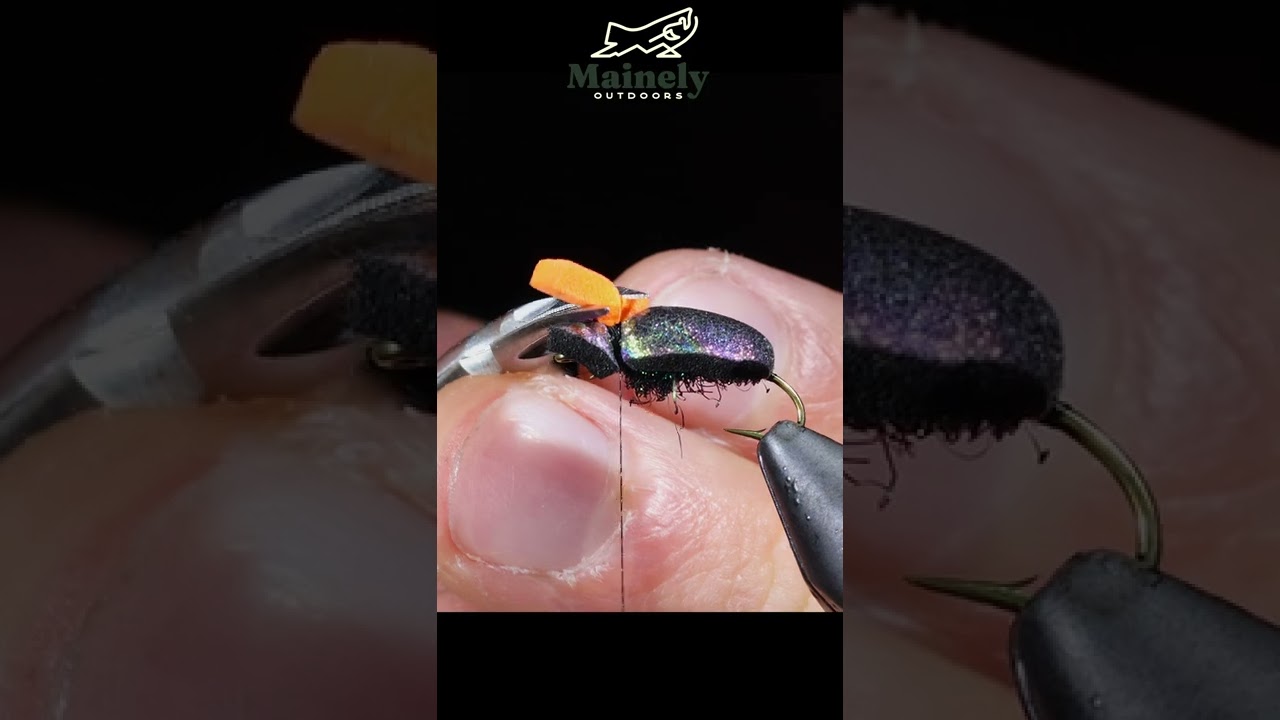 MUST Have Fall Trout Pattern!!