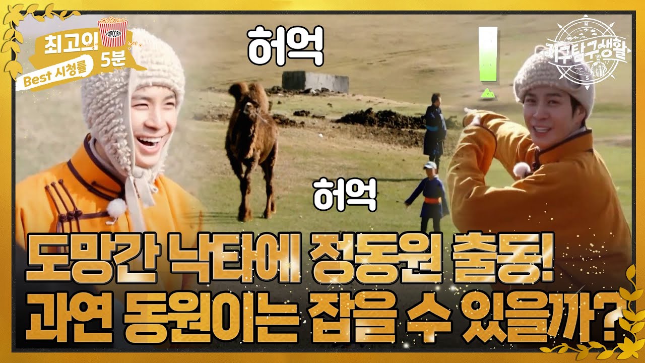 [최고의 5분_지구탐구생활] 다큐에서도 본 적 없는 리얼 액션 스펙터클 낙타 추격 대 작전!