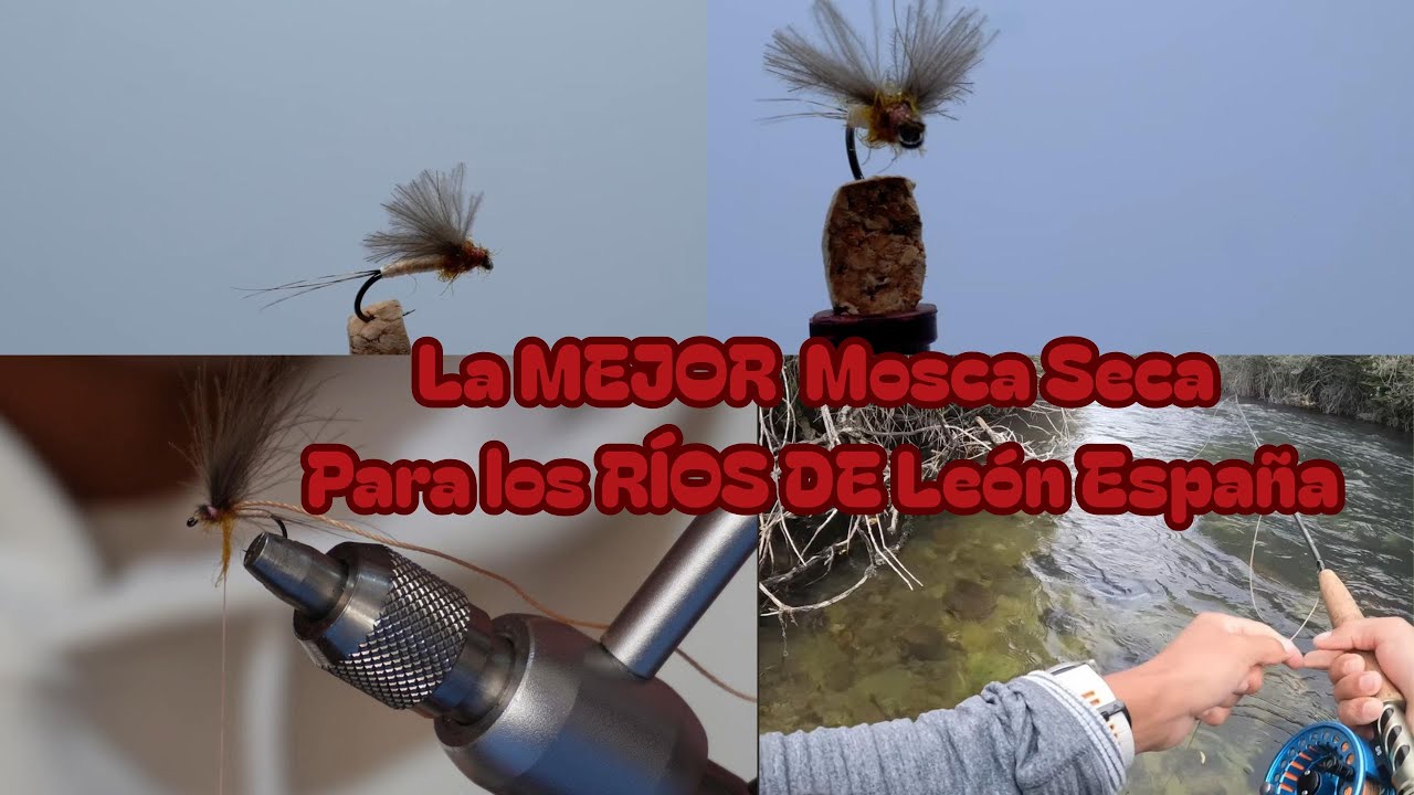 La MEJOR MOSCA SECA PARA  LAS TRUCHAS, EN LOS RÍOS DE LEÓN - ESPAÑA