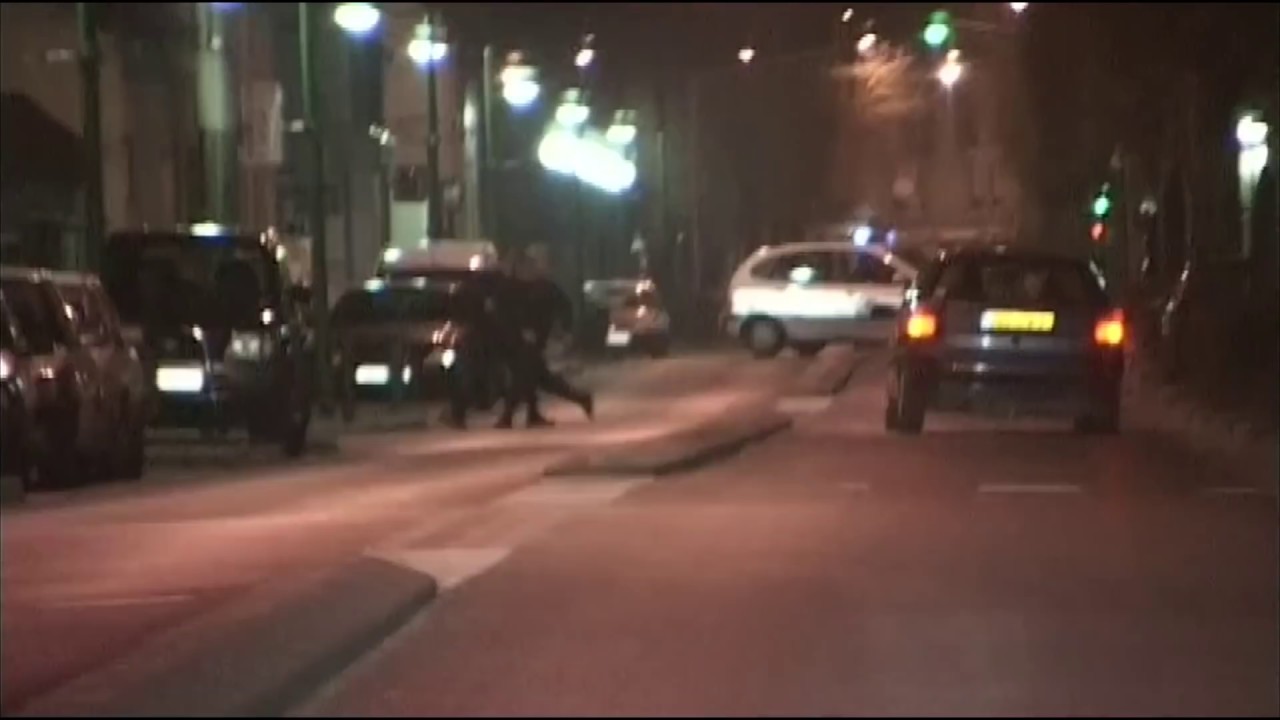 Mais je suis pas un dingo m'sieur !
