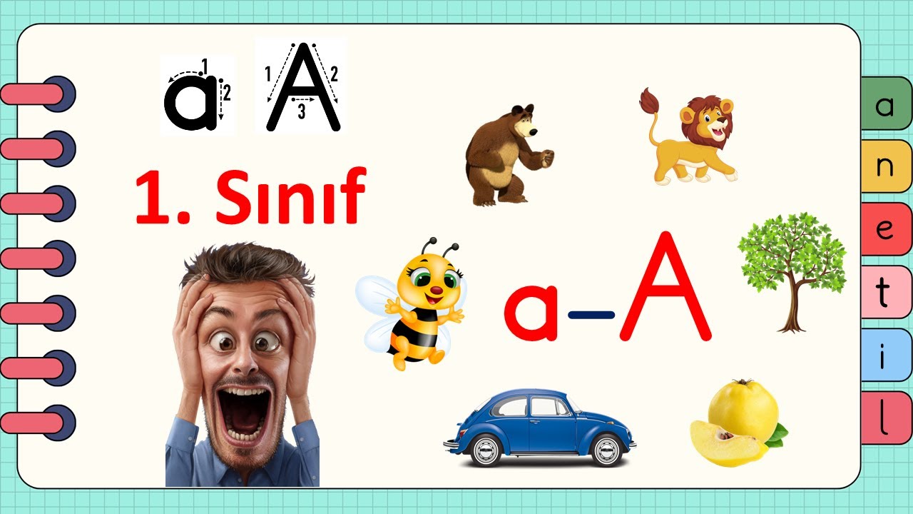 1. Sınıf 