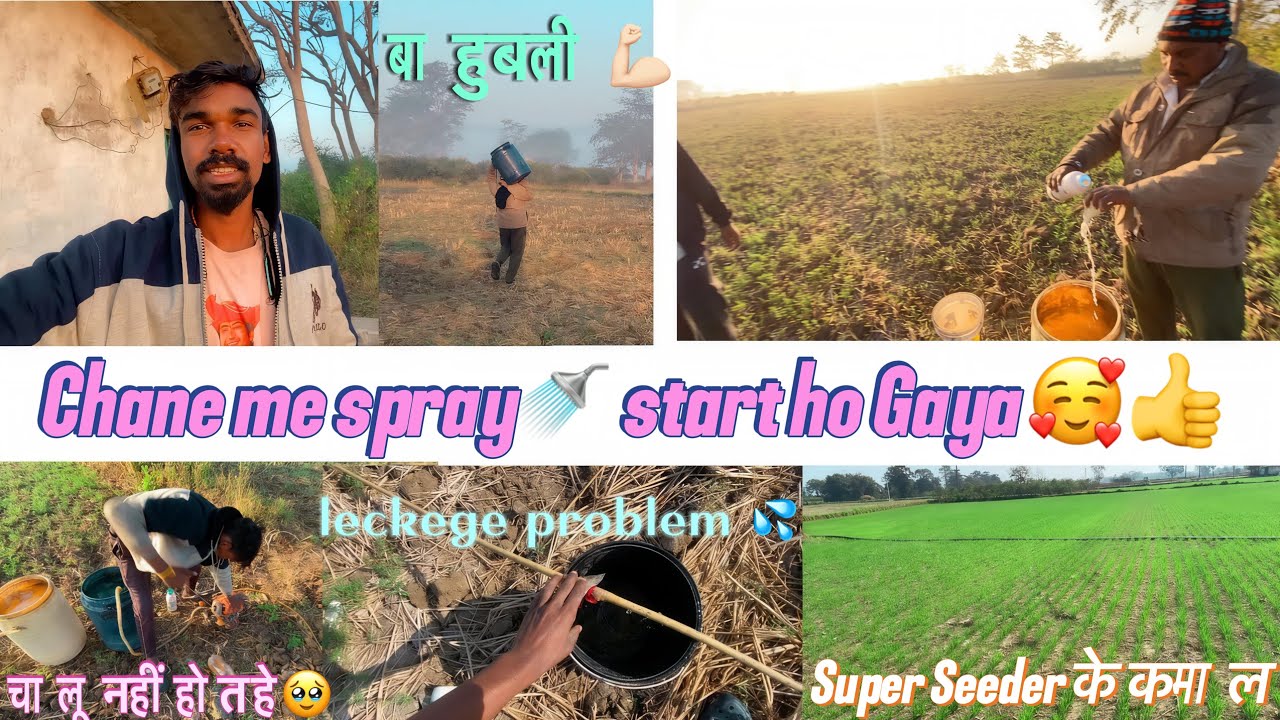 चने में sprey चालू होगे 🚿॥ superseeder के कमाल 👍॥ full power में पापा ज़ी💪🏻॥ पानी डालना चालू होगे😍💦॥