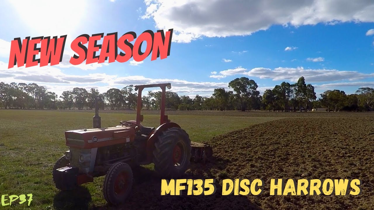 DISC HARROWS with Massey Ferguson 135 MF135 & MF34 NEW SEASON Vintage Farming at Rusted Iron Ranch