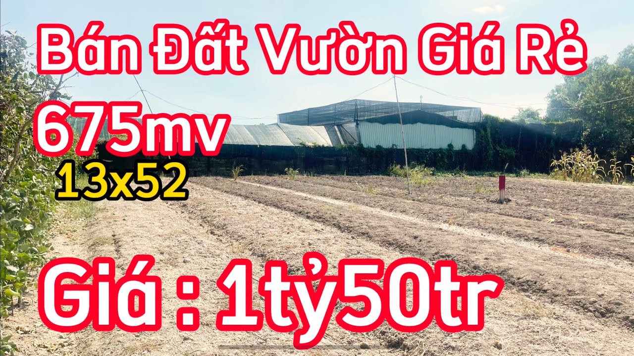 🔴 Bán Đất Vườn Giá Rẻ / Diện Tích Cực Khủng Giá 1tỷ50tr / đất cần giuộc giá rẻ .