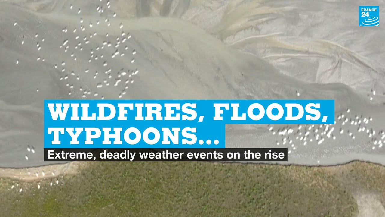 Wildfires, floods, sandstorms, typhoons&hellip;Extreme, deadly weather events on the rise &bull; FRANCE 24