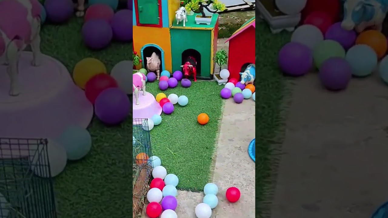 Tiny Chicks, Big Playtime&hellip; Pure Joy Unlocked!