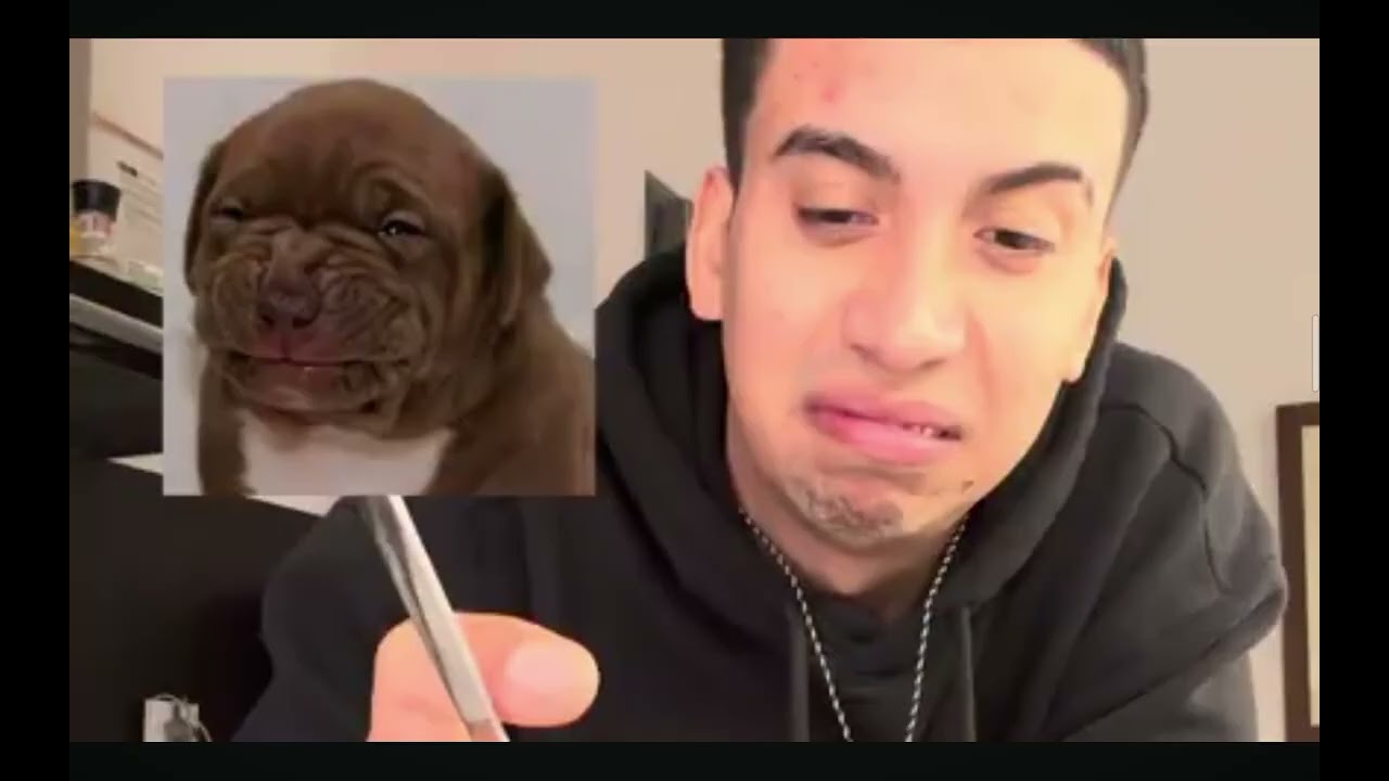 Reaccionando a el entrenamiento de Abraham pt1