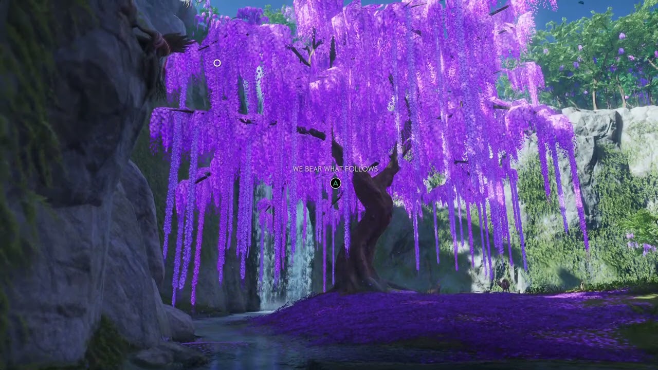 haiku lavender