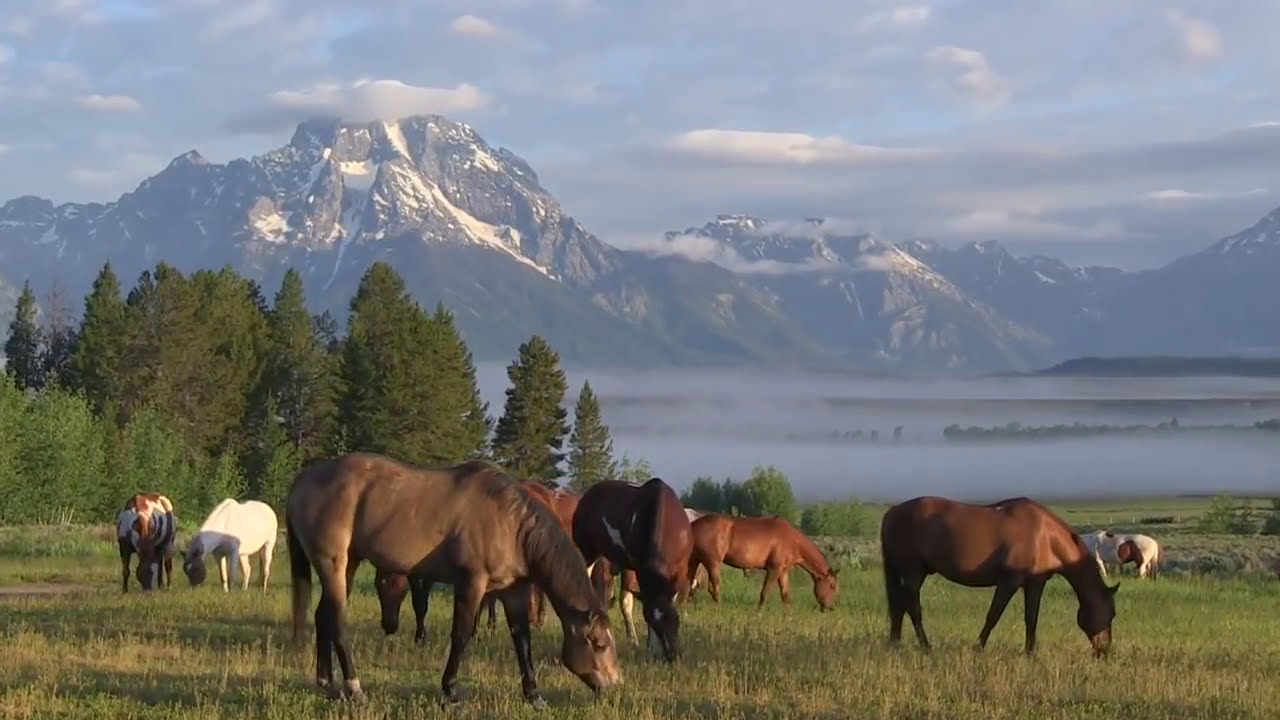 Triangle X Ranch - Jackson Hole, Wyoming