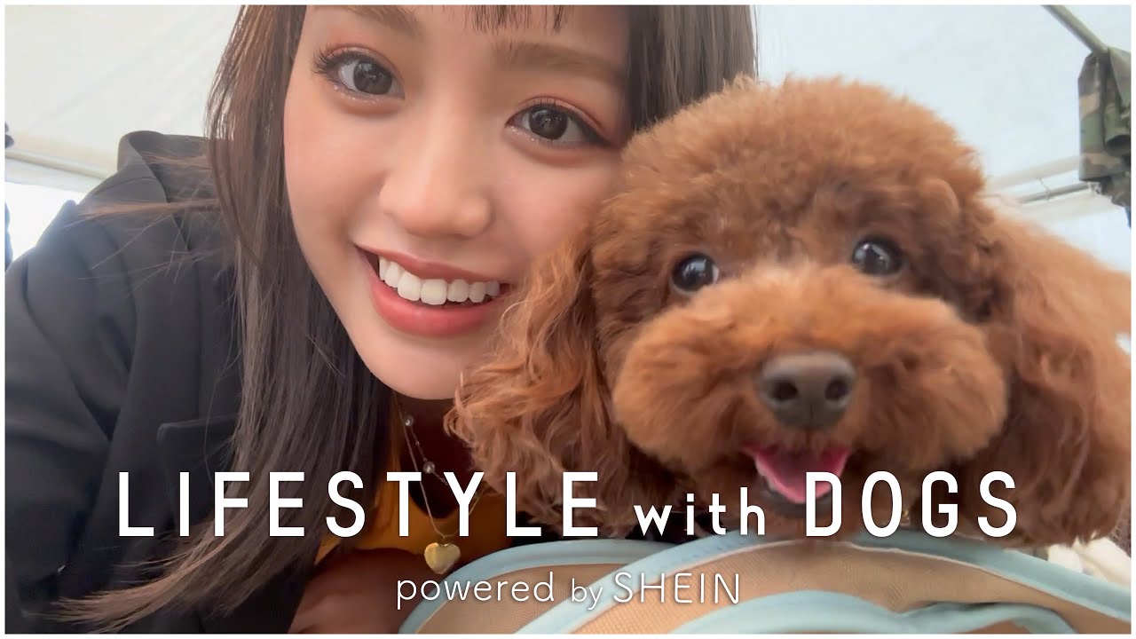 【癒し】愛犬とのお仕事の１日に密着！🐶
