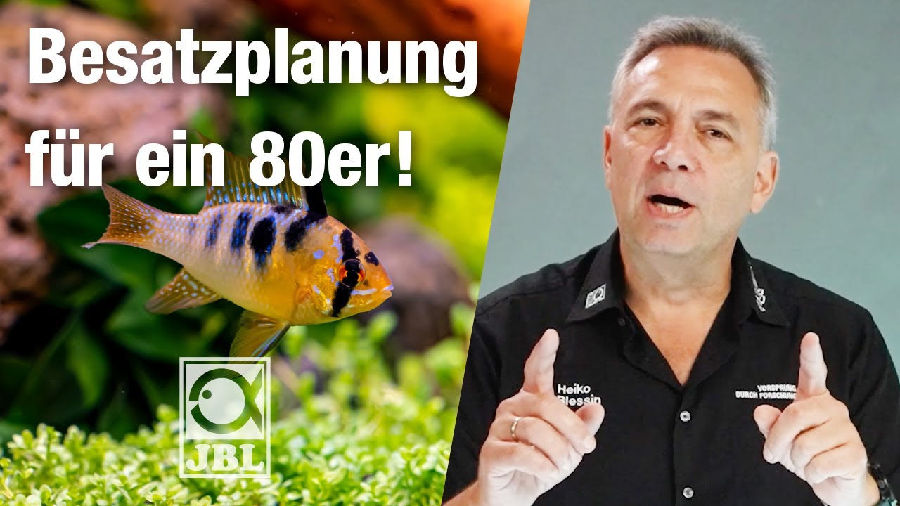 JBL TV #57 Welche Fische und Pflanzen passen in ein 80 cm Aquarium?