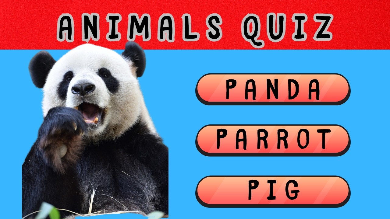Can You Name These Animals? | 40 Animal Quiz Challenge
