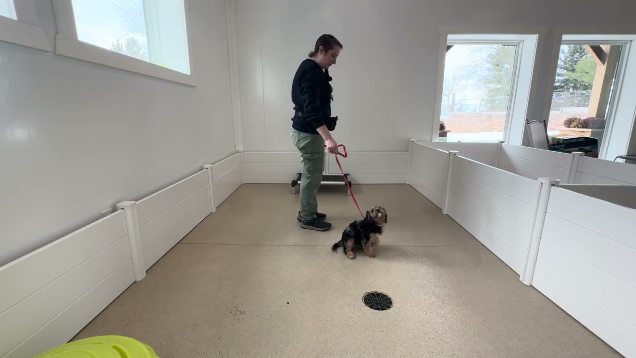 Ricky Leash Skills 02/12