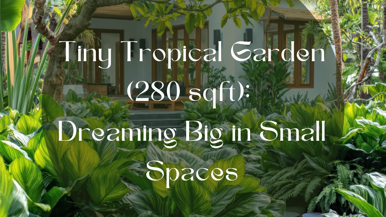 Tiny Tropical Garden (280 sqft): Dreaming Big in Small Spaces