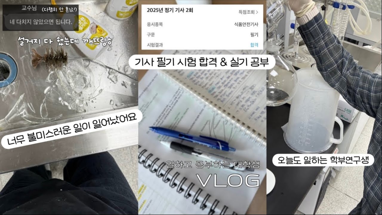 너무 불미스러운 일이 일어났어요🥲 • 사고친 3년차 학부연구생🤦‍♀️ • 2주만에 식품안전기사 필기 합격&실기 준비 • 대학생 브이로그 •자격증 공부