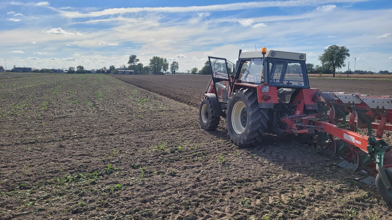 🔥Klimatyczna orka pod pszenicę 2024🔥Zetor 10145 vs Kverneland LD100🔥