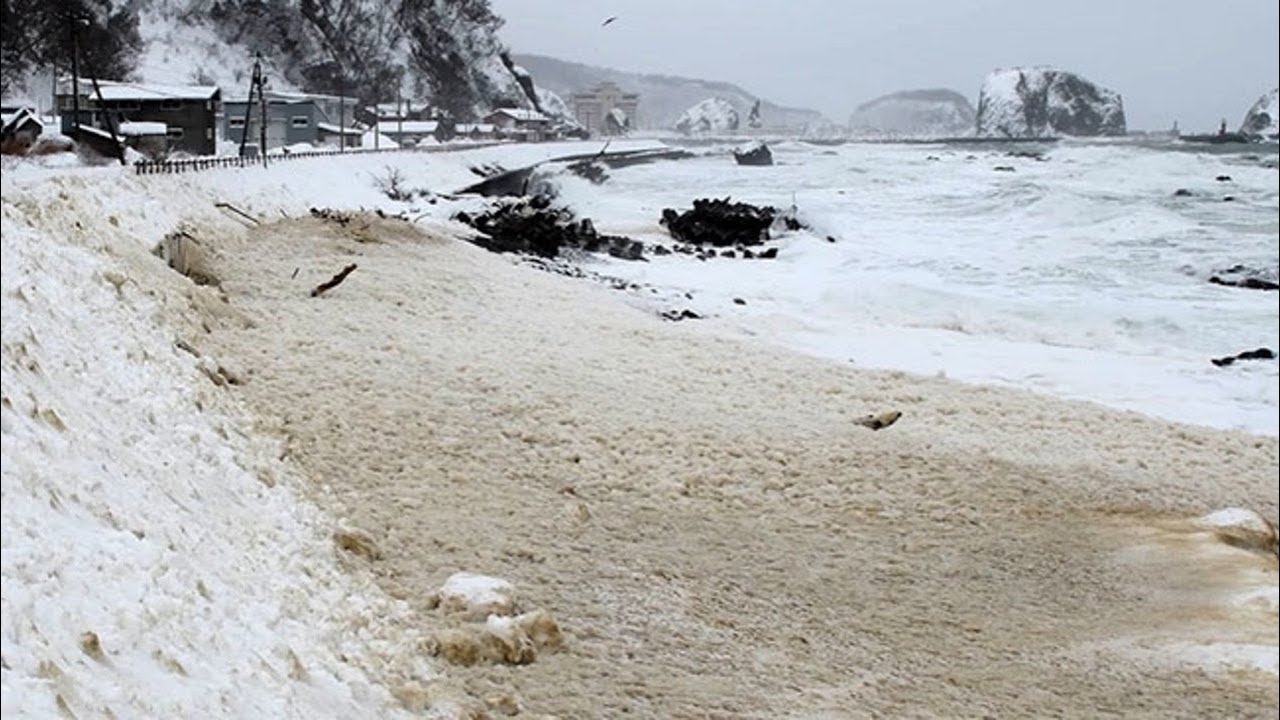 斜里・ウトロで波の花　暴風雪の置き土産＜知床リポート＞