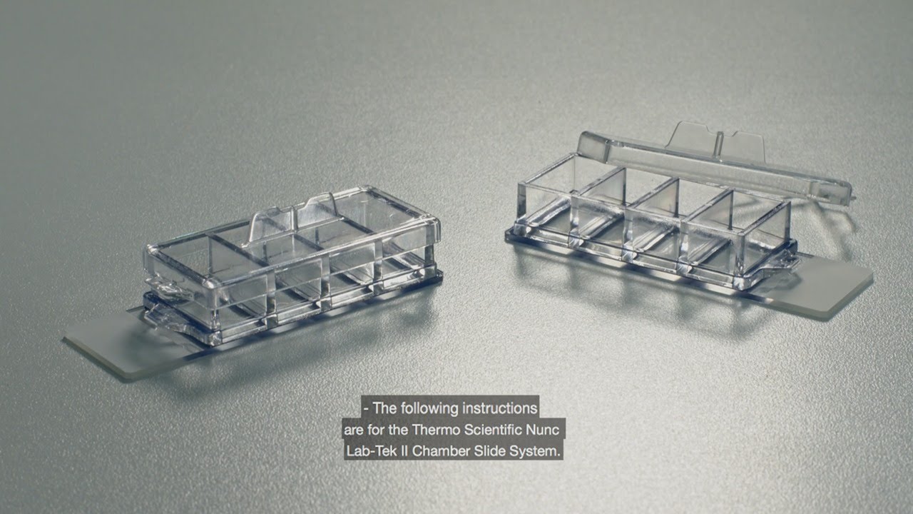 Chamber Slide: Step-by-Step Guide to Nunc Lab-Tek II System