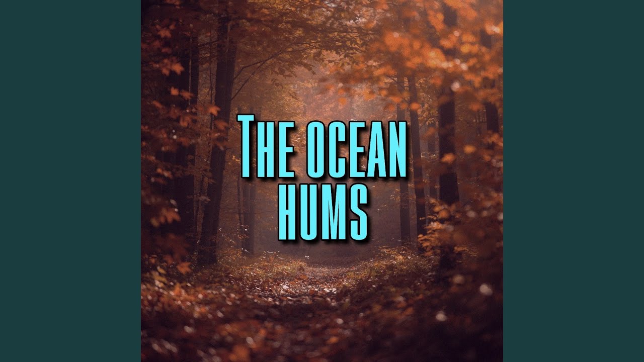 The ocean hums