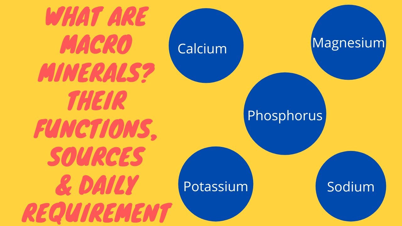 What are Macro Minerals? Their Functions, Sources and Daily Requirement (हिंदी में)