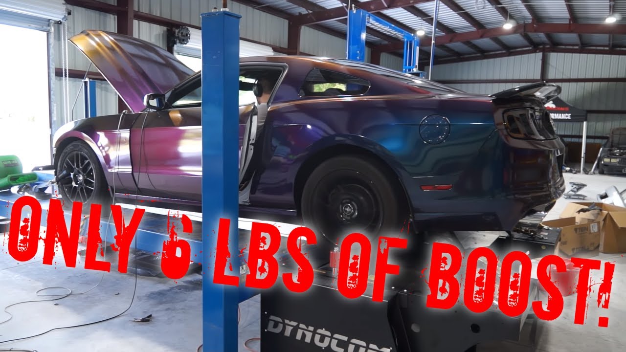 BIG HP increase on 6 lbs of Boost? - Procharger 3.7 Cyclone Mustang