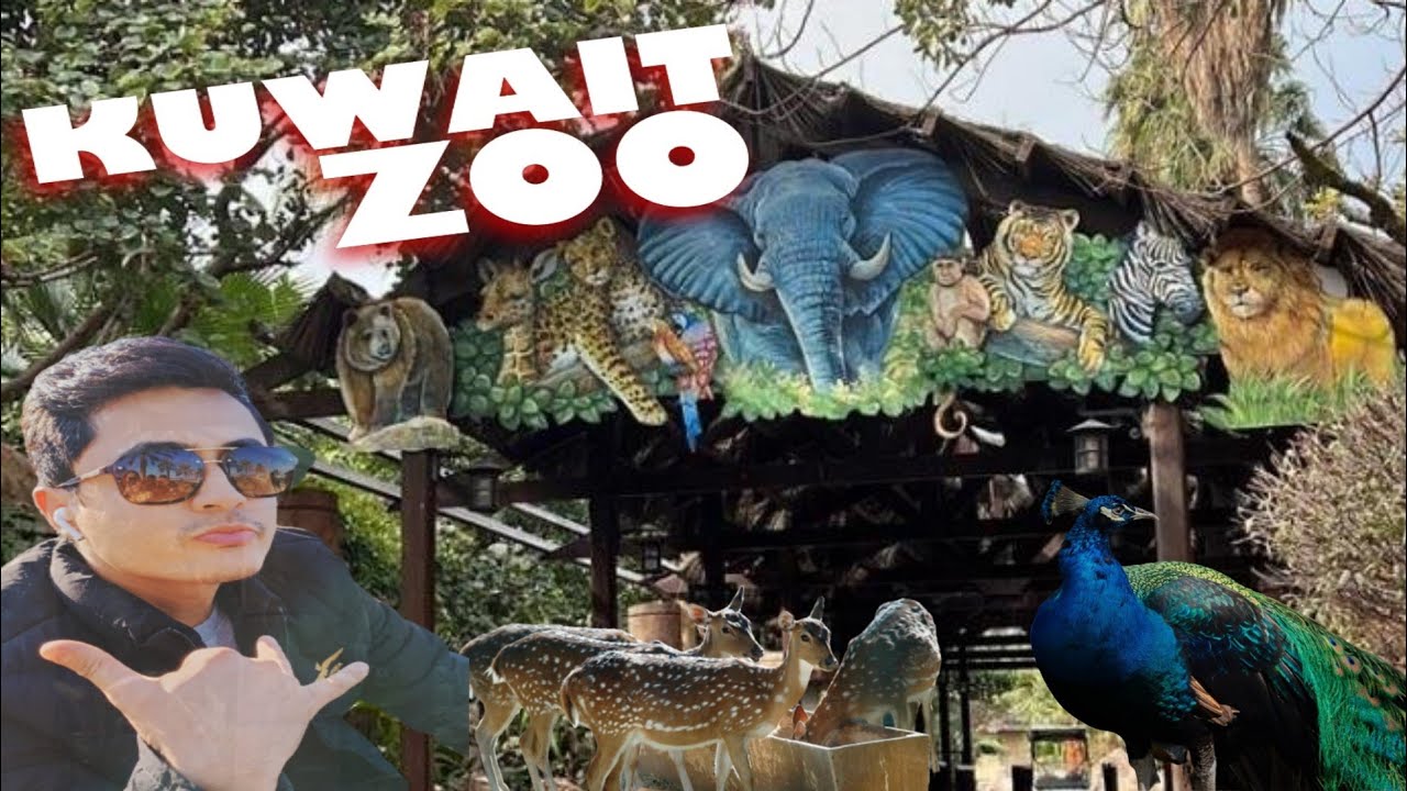 Kuwait zoo sulaibiya//कुवैतका zoo park #kuwait #zooinkuwait