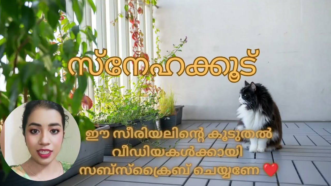 ഒരേ സമയം വേണുവും ഇന്ദ്രനും മരിക്കുന്നു Snehakkoottu Promo