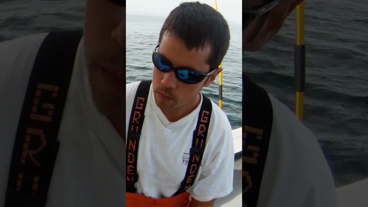 The First Bite in Wicked Tuna History 🎣 #wickedtuna #tunafishing #DaveCarraro