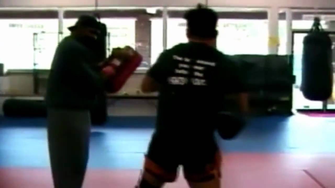 Cung Le- the King of Sanda- by KahL-One (Chapter 1)