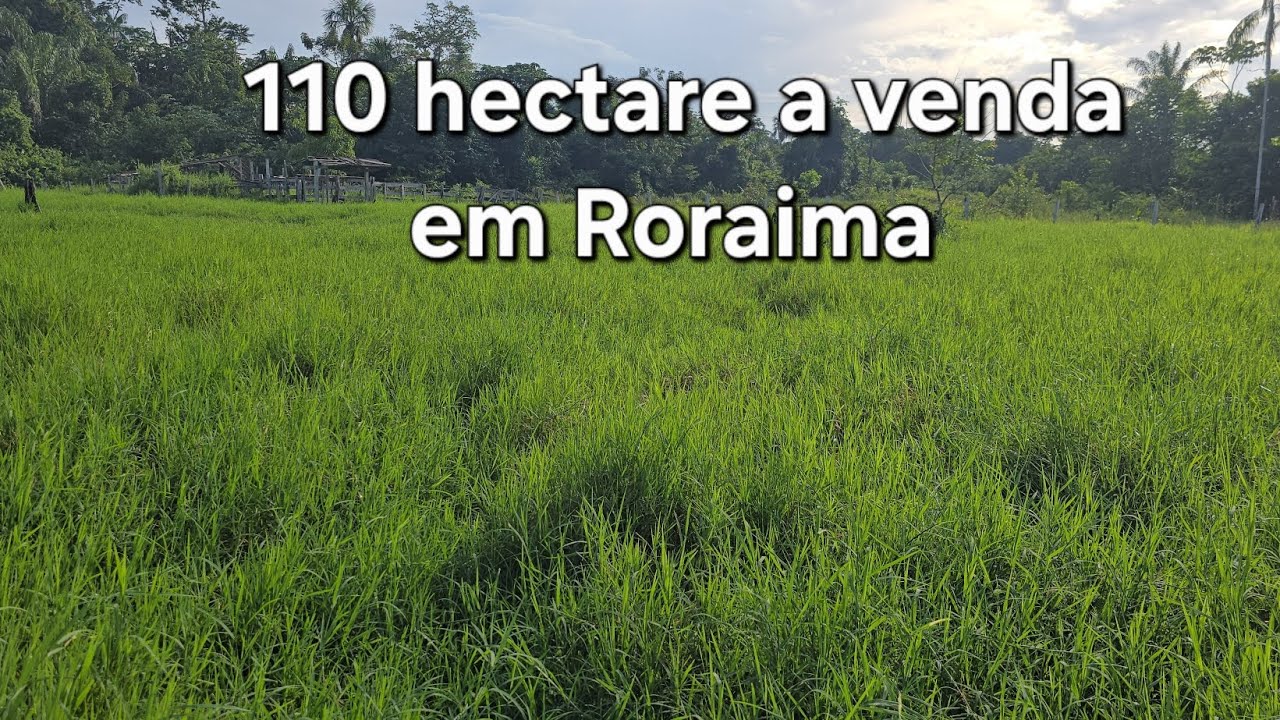Fazendinha de 110 hectare a venda em Roraima, região de Rorainopolis 