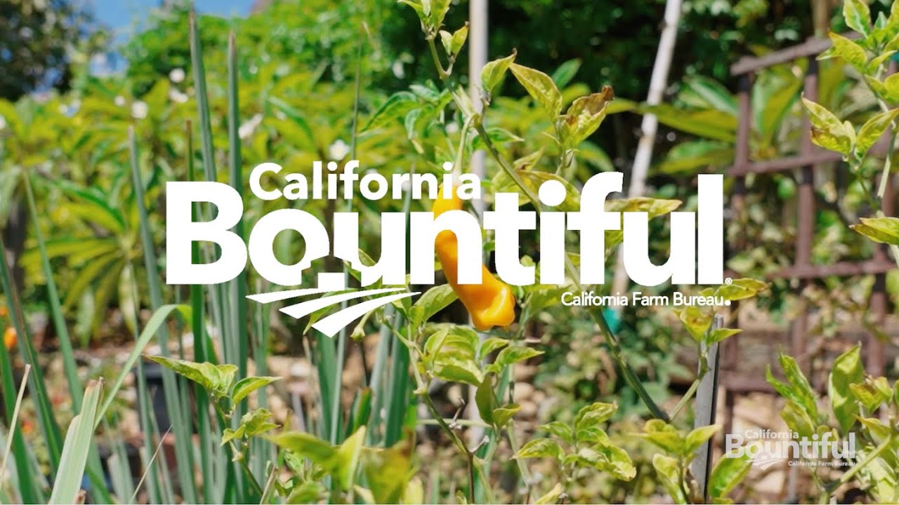 S25E01 San Diego County - Avocado Oil, Organic Eggs, Wine, Mushrooms + Backyard Fine Dining