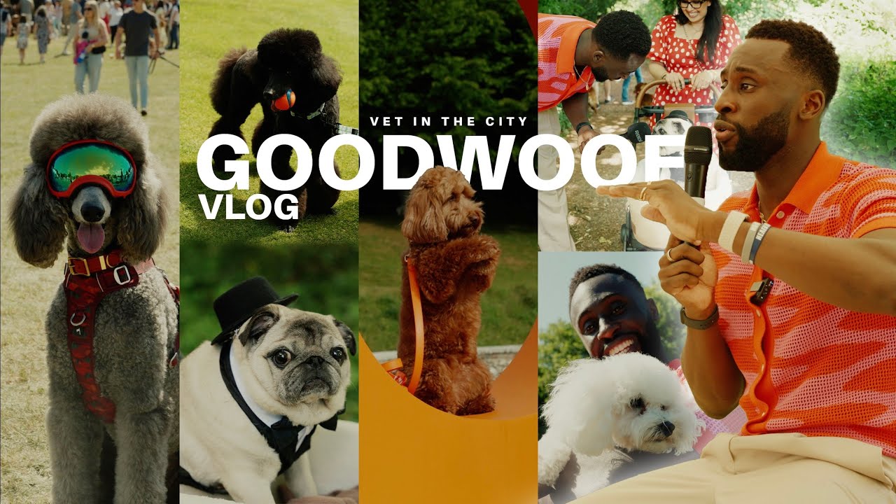 VET N THE CITY: EP 003 GOODWOOF 2025