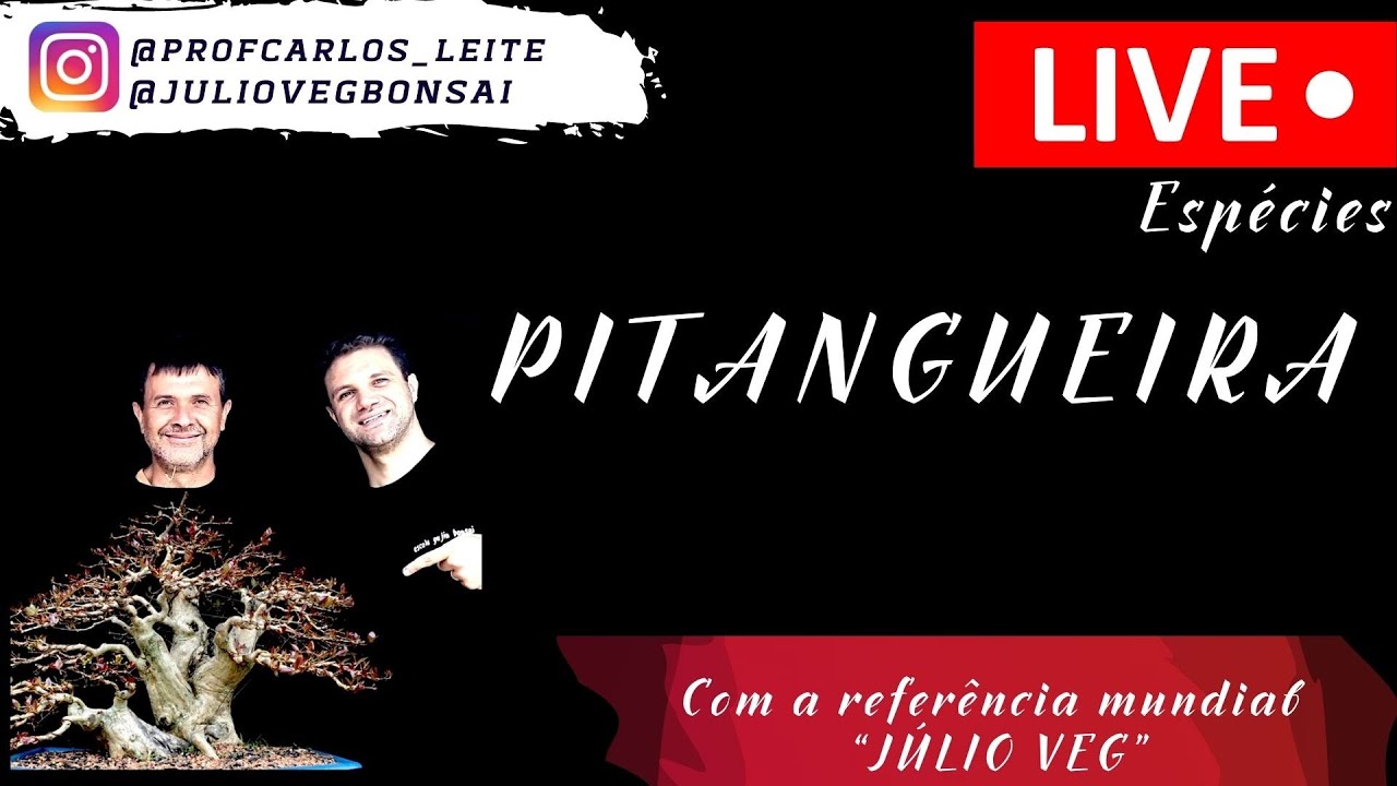PITANGUEIRA - BAAAITA LIVE da S&eacute;rie &ldquo;ESP&Eacute;CIES&rdquo; - com o fera J&Uacute;LIO VEG