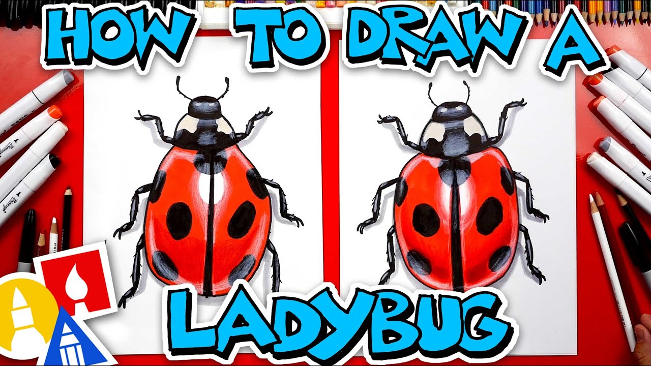 How To Draw A Realistic Ladybug