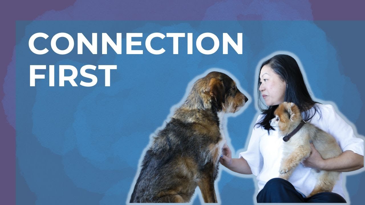 Before You Ask Your Pet Anything… | Animal Communication Tip