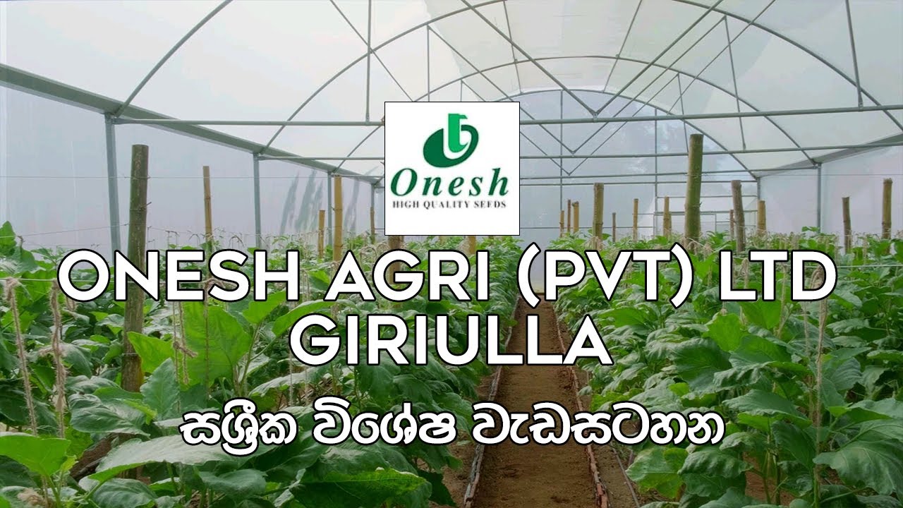 ගිරිඋල්ල Onesh Agro (PVT) Ltd පටිගත කරන ලද සශ්‍රීක වැඩසටහන 👨‍🌾🚜🌾 | සශ්‍රීක | Shashrika | EP-01