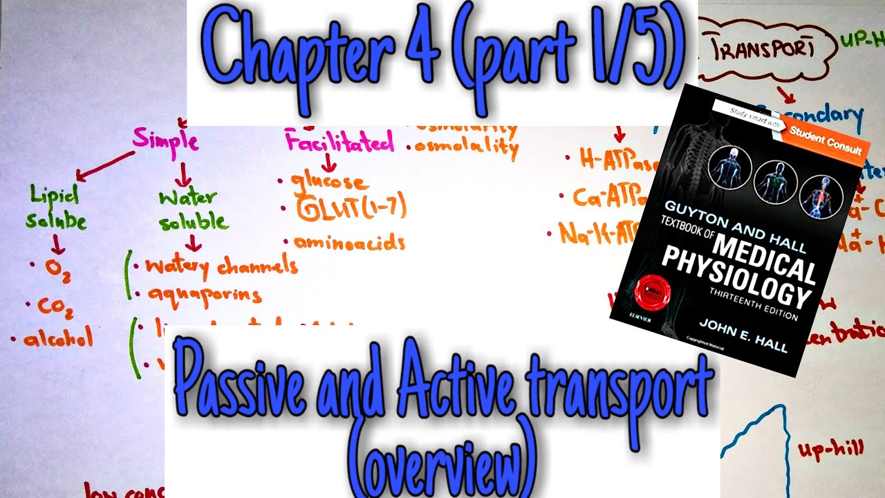 Passive active transport overview-Chapter 4(part 1/5) Guyton and Hall Text Book of Medical Physiolgy