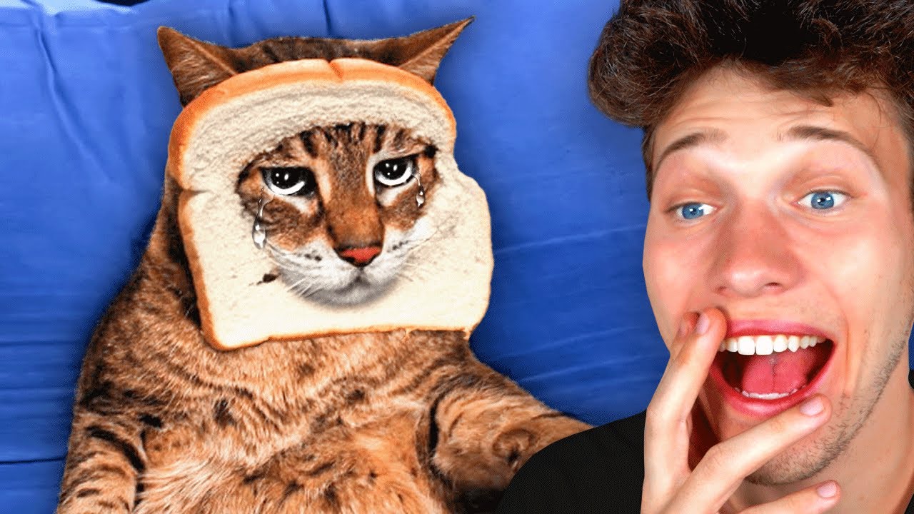 Funniest animals will make you laugh uncontrollably 😂