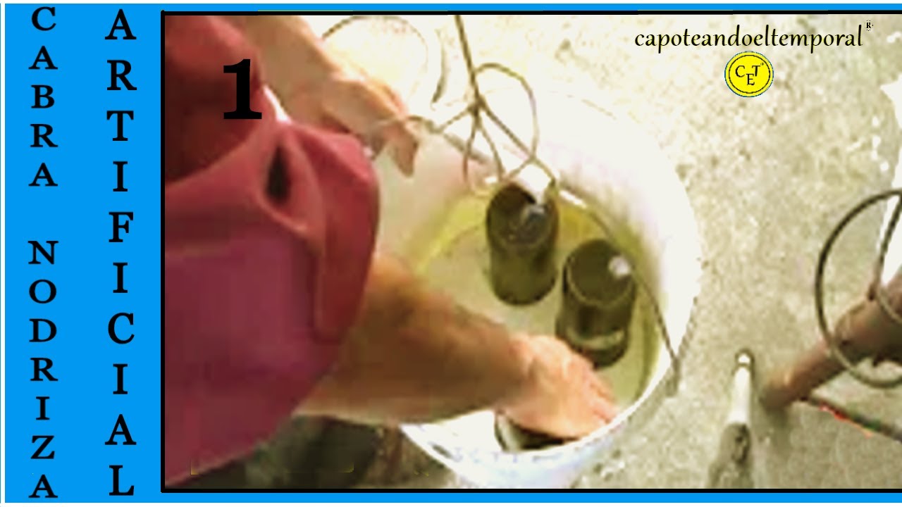 CABRA NODRIZA ARTIFICIAL CASERA (1ª parte) artificial goat nurse home